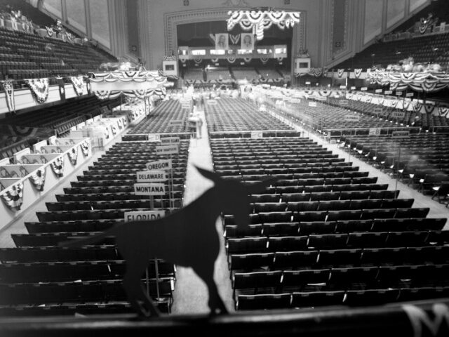 General view of the Democratic floor prominently featuring their party's symbol, the