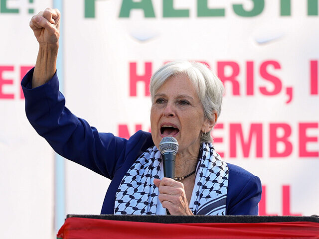 Green Party presidential candidate Jill Stein speaks during a rally at Union Park during t