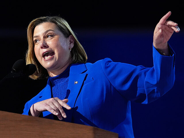 Rep. Elissa Slotkin, D-Mich., speaks during the Democratic National Convention Thursday, A