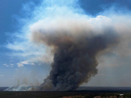 Smoke rises from fire in the environmentally protected area of Brasilia National Park duri