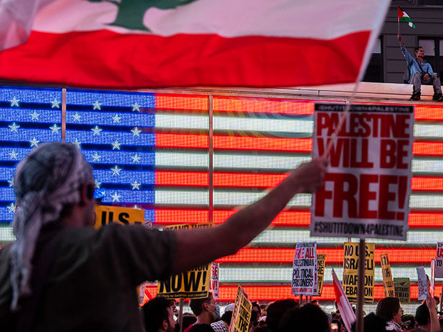 Palestinian supporters protest Israeli Prime Minister Benjamin Netanyahu in Times Square d