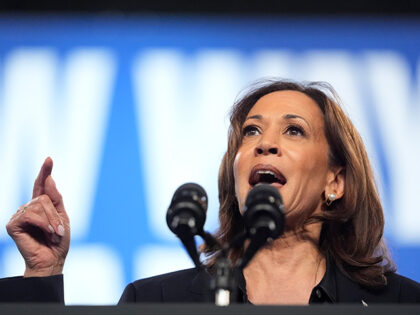 Democratic presidential nominee Vice President Kamala Harris speaks during a rally at the