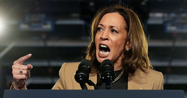 Democrats Feel Anxious About Harris’s Dwindling Support Among Men