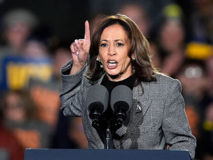 Democratic presidential nominee Vice President Kamala Harris speaks during a campaign rall