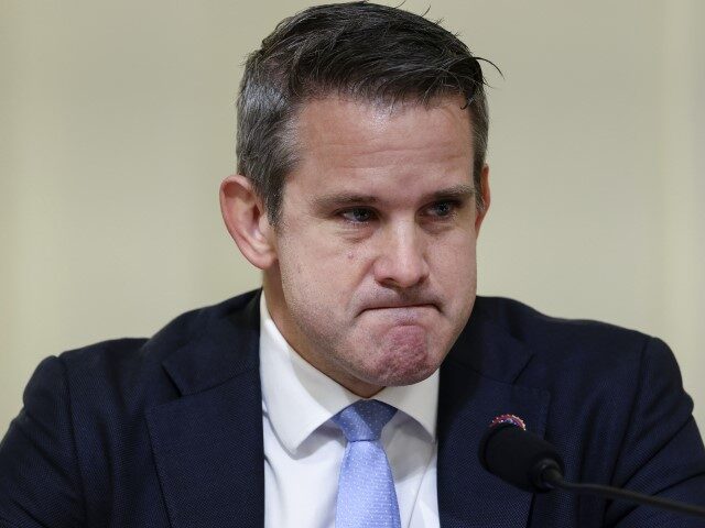 Rep. Adam Kinzinger, R-Ill., speaks during the House select committee hearing on the Jan.