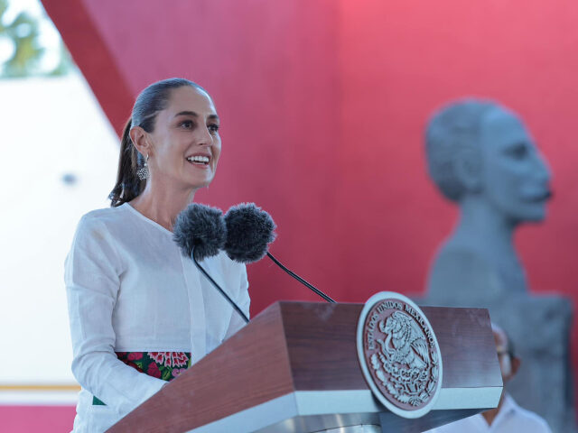 Mexico's President Claudia Sheinbaum was named as a member of a Colombian terrorist o