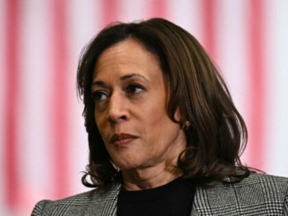 US Vice President and Democratic presidential nominee Kamala Harris speaks to union worker