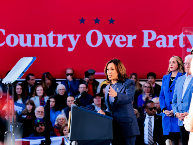 US Vice President Kamala Harris during a campaign event at Washington Crossing Historic Pa