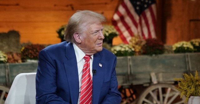 Quinnipiac Poll: Trump Holds Solid Lead in Georgia