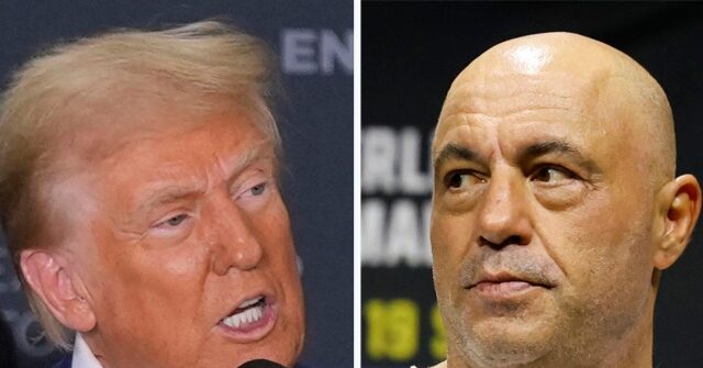 Election Interference: Google Buries Joe Rogan's Trump Interview on YouTube Search