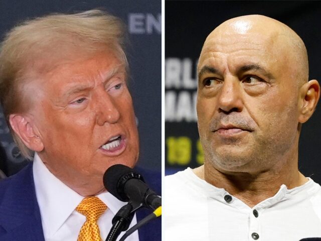 Election Interference: Google Buries Joe Rogan’s Trump Interview on YouTube Search