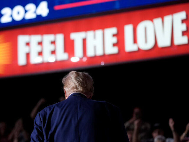 Republican presidential nominee former President Donald Trump looks at the crowd after spe