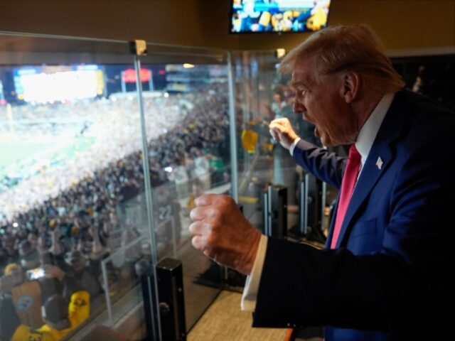 WATCH: Fan with Pro-Trump Sign Runs onto the Field During Sunday Night Football