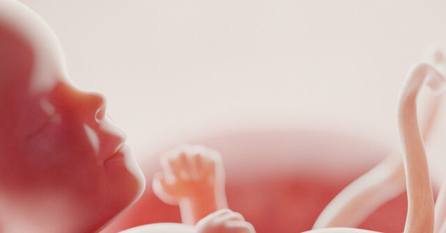 Nevada Measure Sets the Stage to Create Right to Abortion in 2026