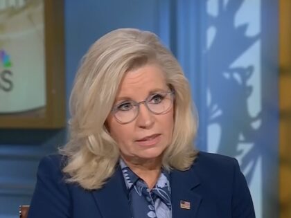 Former Rep. Liz Cheney