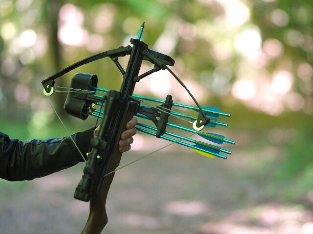 Hand holding crossbow