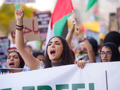 Protesters attend a rally organized by the Chicago Coalition for Justice in Palestine at t