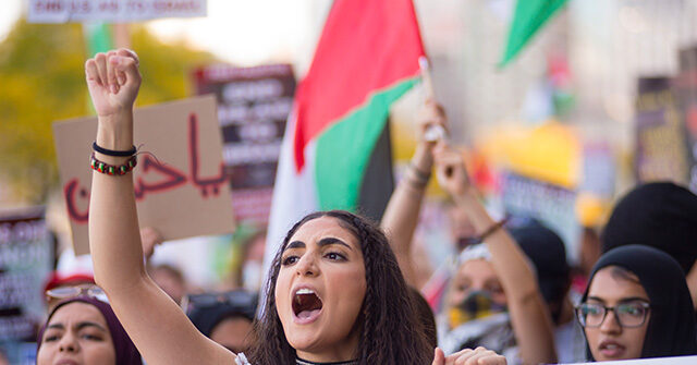 Arab Americans Could Cost Kamala Harris the Election in GA, MI