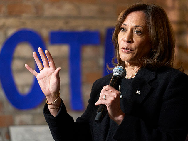 Vice President and Democratic presidential candidate Kamala Harris speaks at Cred Cafe dur