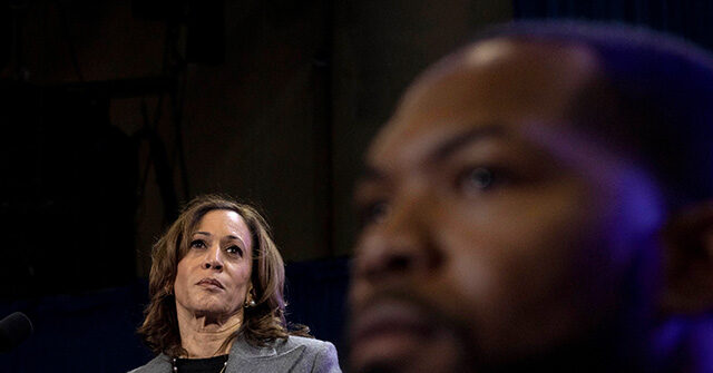 'Insulting to Black Men': Kamala Harris's Dating Show-Style Ad Garners Backlash