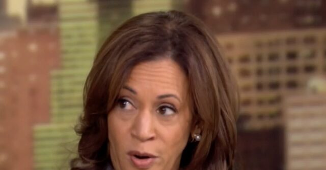 Harris: After Biden Passed the Torch I Called My Pastor — ‘I Needed to Talk to God’