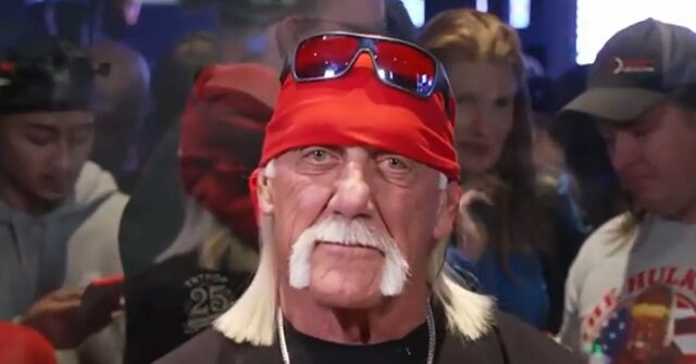 Hulk Hogan: 'American Dream Is What This Country Is All About, and Donald Trump Represents That'