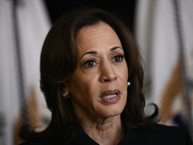 Kamala Harris: You Have to Take Responsibility ‘For What Happened in Your Administration&#821