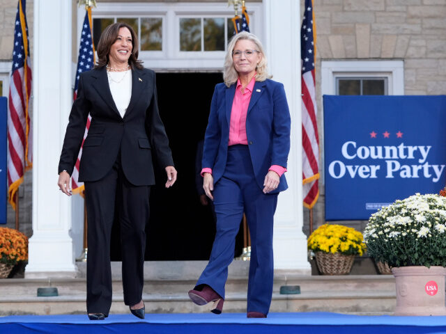 Democratic presidential nominee Vice President Kamala Harris, left, arrives to speak at a