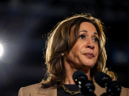 Democratic presidential nominee, Vice President Kamala Harris speaks during a campaign ral