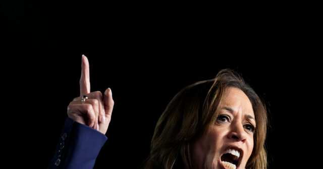 'Exhausting,' 'Hyperbolic': Undecided Pennsylvania Voters Say Harris's 'Fascist' Closing Message Is Not Persuasive