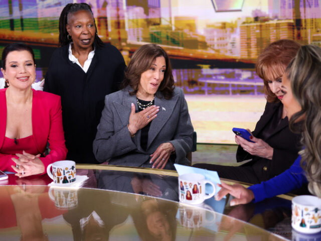 US Vice President and Democratic presidential nominee Kamala Harris is pictured in studio