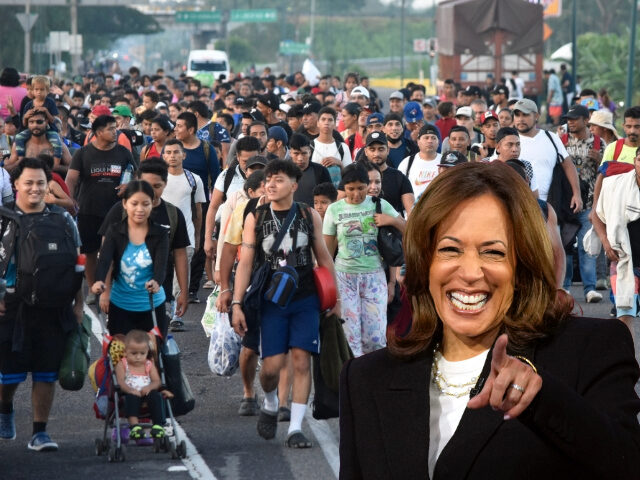 Kamala and a Caravan, AP Photos/Edgar H. Clemente, Matt Rourke