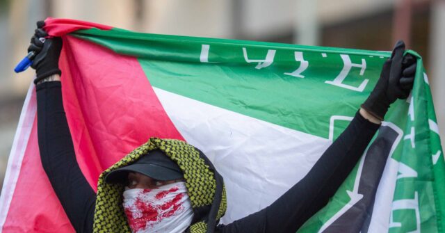 'Largely Peaceful' Pro-Palestinian Protests in New York, Los Angeles Mark October 7