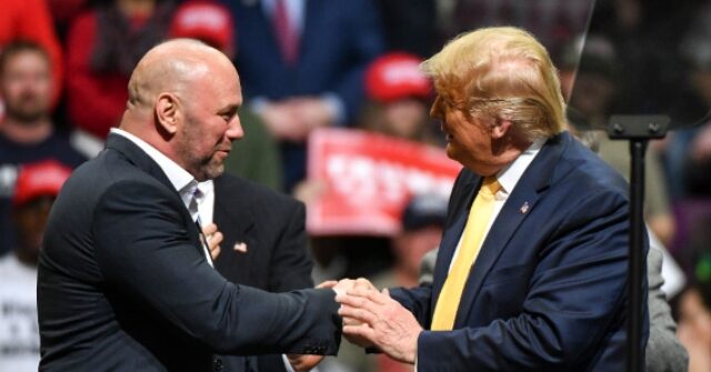 UFC Stars Back Trump in Appeal to Arab Americans in Michigan