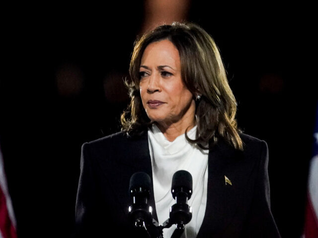 US Vice President Kamala Harris during a campaign event on the Ellipse of the White House