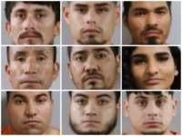 Florida Sheriff Arrests 157 Suspects for Human Trafficking, Including 25 Illegal Aliens