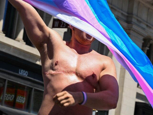 NEW YORK, NEW YORK - JUNE 26: A transgender athlete waves a Trans Pride Flag during the Ne