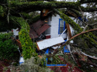 ‘It’s Devastating’: Georgia Mom and Her Infant Twins Killed When Tree Fell on Hom