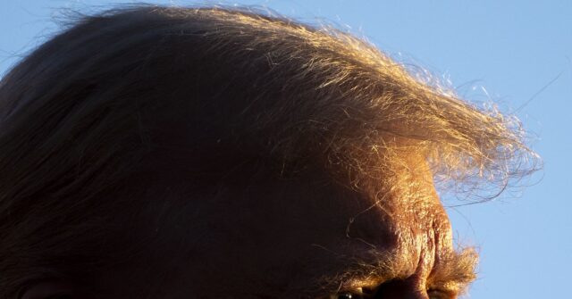 Locals Push Back on Coachella Officials Calling Trump a 'Threat'