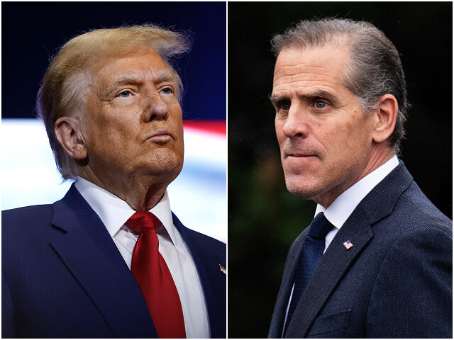 Donald Trump / Hunter Biden