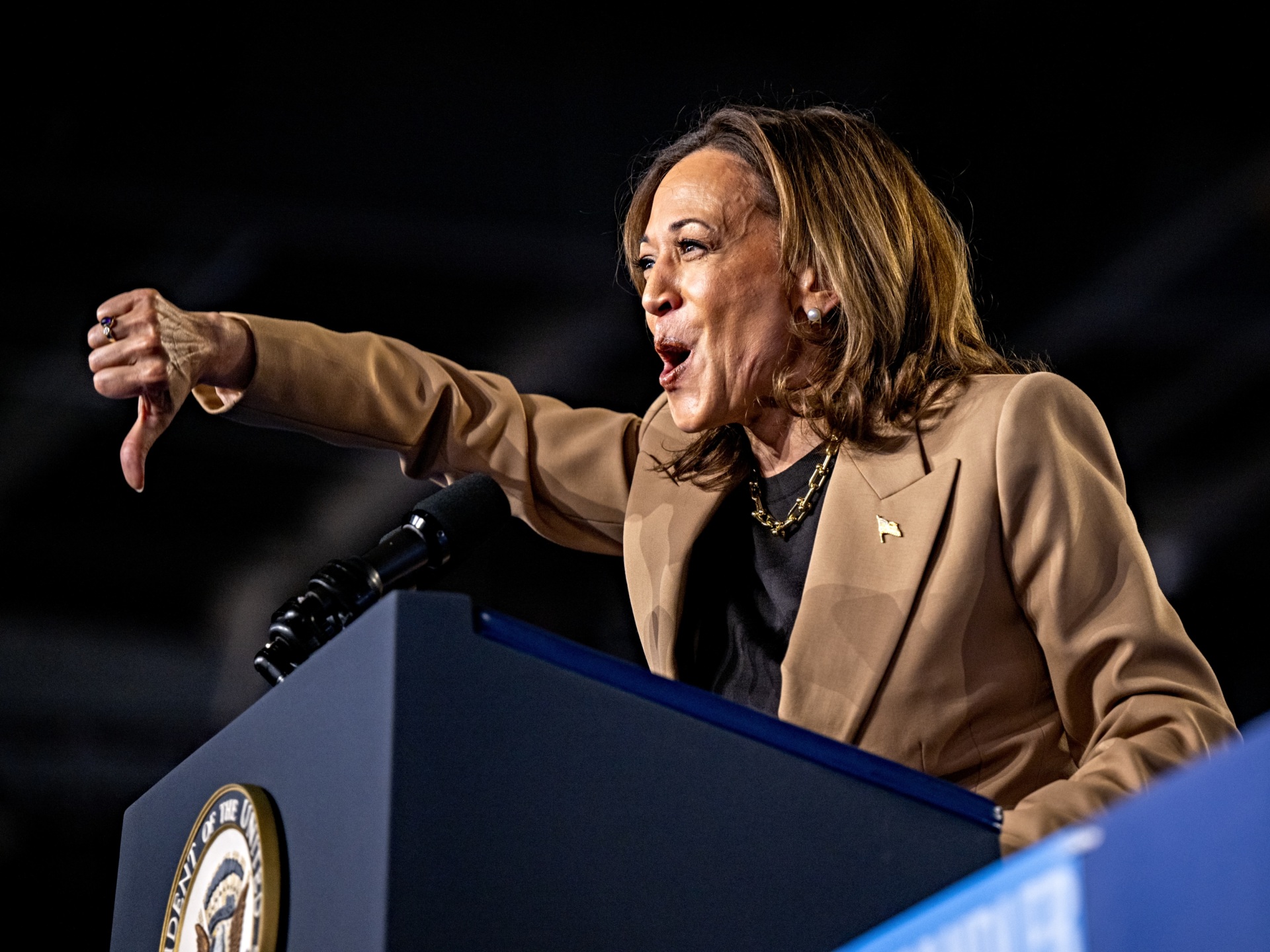 How Dare You: Harris Scolds 'Weak' Trump for Refusing Another Debate