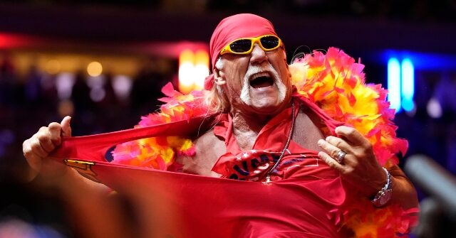 Hulk Hogan Suggests Trump Might Give Him a Role in His Administration