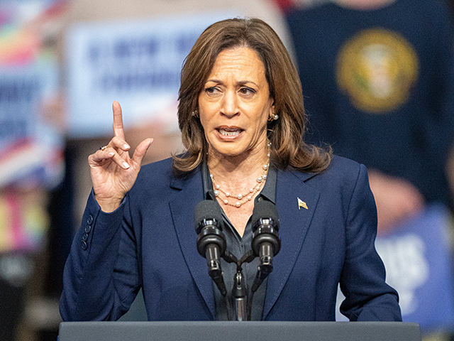 Democratic presidential nominee Vice President Kamala Harris speaks at a campaign rally on