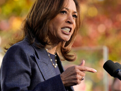 Democratic presidential nominee Vice President Kamala Harris speaks at a campaign event at