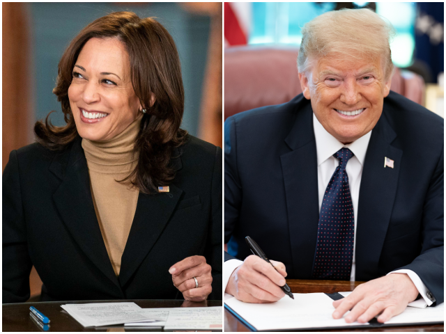 Poll: Independents Tipped for Donald Trump over Kamala Harris