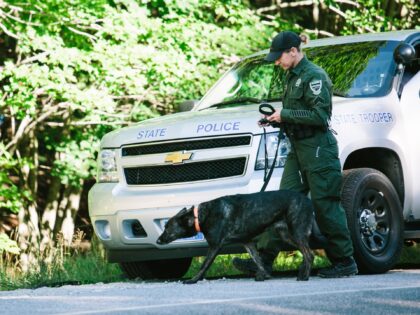 ANTON, ME - AUGUST 7: A member of the Maine Warden Service leads a dog to the property of