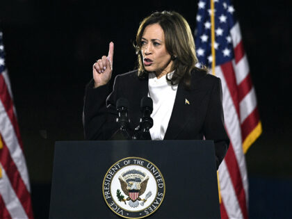 US Vice President and Democratic presidential candidate Kamala Harris speaks on The Ellips