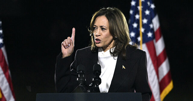 Fact Check: Kamala Harris Claims Trump 'Sent an Armed Mob' to U.S. Capitol