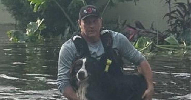 Photos: 104 Pets Rescued in Hillsborough County After Hurricane Milton