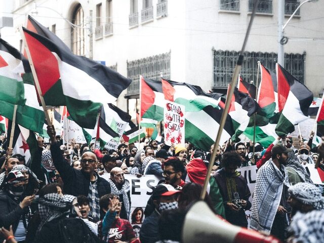 pro-palestinian protest